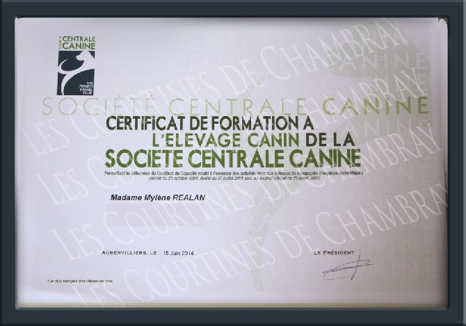 Des Courtines De Chambray - FORMATION POUR LE CERTIFICAT DE CAPACITE !!!