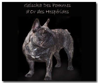 Des Courtines De Chambray - Examens de santé de Geiscka !!!